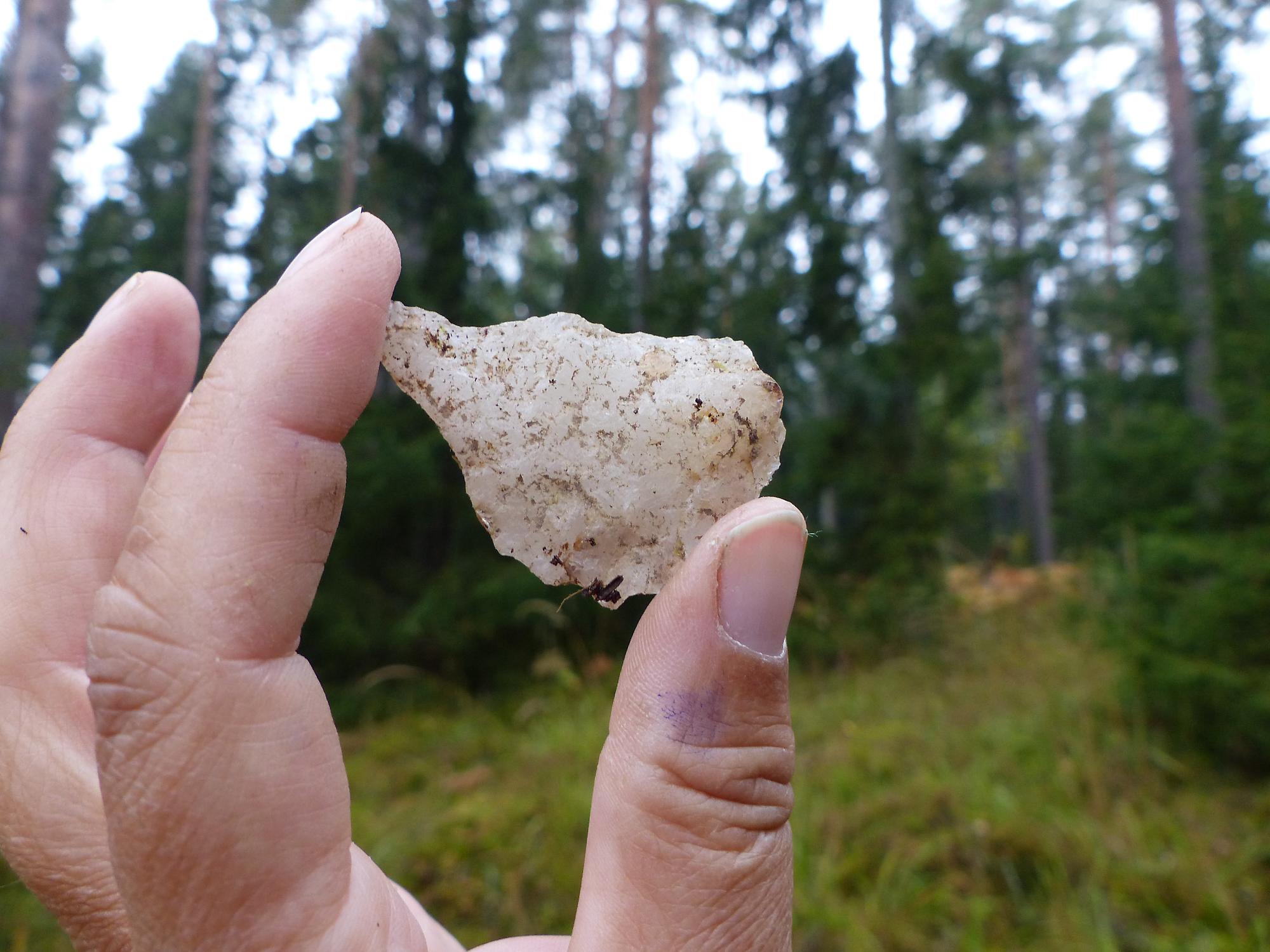 En hand håller en liten vit sten. Skog i bakgrunden 